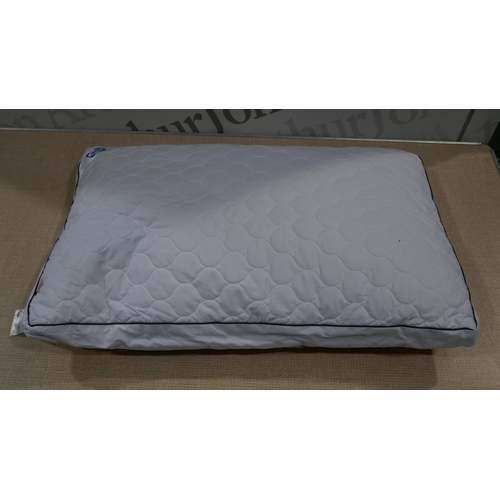 6254 - Two Sealy Side Sleeper pillows (Marked)          (329-166)   * This lot is subject to vat