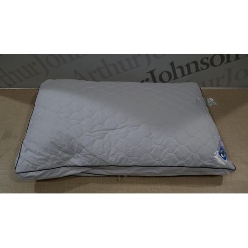 6254 - Two Sealy Side Sleeper pillows (Marked)          (329-166)   * This lot is subject to vat