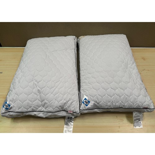 6253 - Two Sealy Side Sleeper pillows (Marked)    (329-167)   * This lot is subject to vat