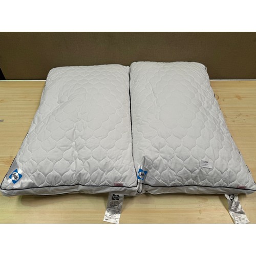 6254 - Two Sealy Side Sleeper pillows (Marked)          (329-166)   * This lot is subject to vat