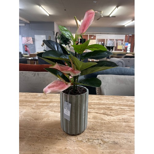 1354 - An artificial Anthurium and Ficus potted arrangement, H 50cms (50663117)   #