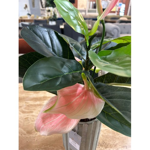 1354 - An artificial Anthurium and Ficus potted arrangement, H 50cms (50663117)   #