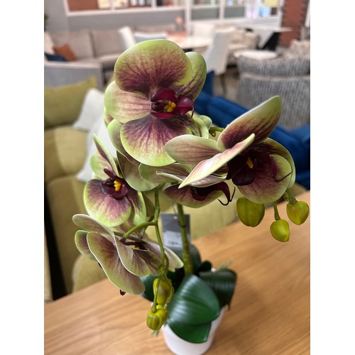 1374 - A tall two stemmed artificial Orchid, H 55cms (55764110)   #