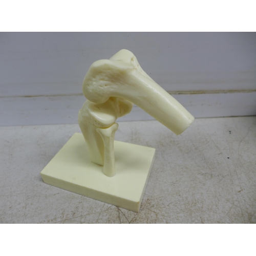 2069 - An anatomical model of a knee, a stethoscope, a model bone, knee replacement parts, etc.