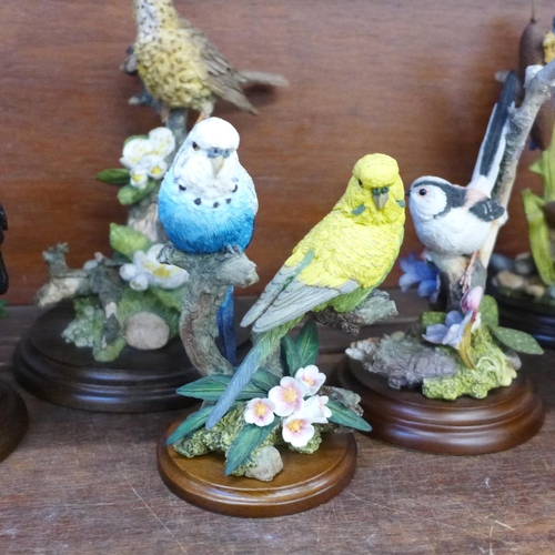 665 - A collection of nine Country Artists sculptures of birds, including Goldfinch with Thistles, Owl, Ki... 