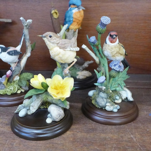 665 - A collection of nine Country Artists sculptures of birds, including Goldfinch with Thistles, Owl, Ki... 