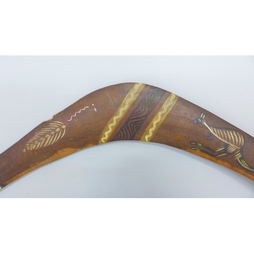 802 - A boomerang made in Queensland, Australia by Torres Strait Islanders or Mainland natives