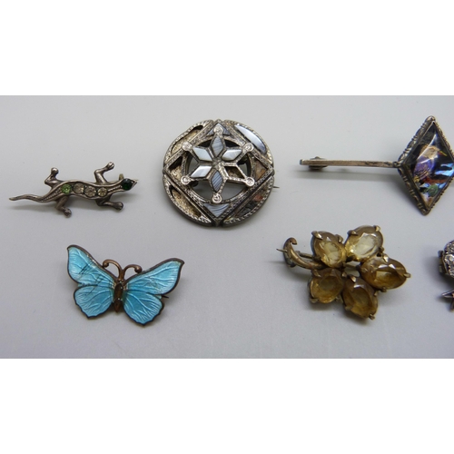 953 - Six brooches including a Victorian Scottish brooch, a silver lizard brooch and an enamelled butterfl... 