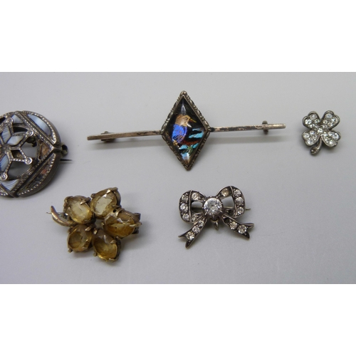 953 - Six brooches including a Victorian Scottish brooch, a silver lizard brooch and an enamelled butterfl... 