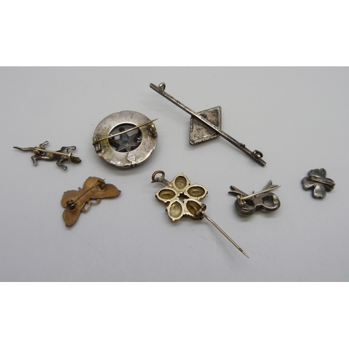 953 - Six brooches including a Victorian Scottish brooch, a silver lizard brooch and an enamelled butterfl... 