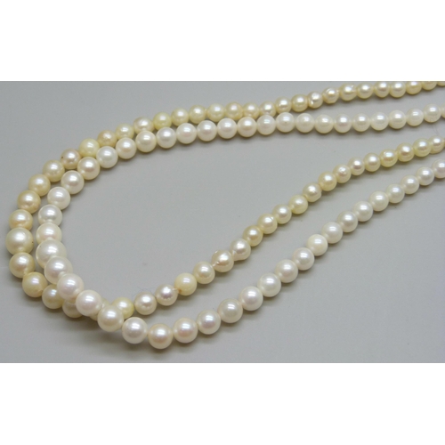 973 - A graduated double row pearl necklace with 9ct gold, garnet and pearl clasp, 50cm, (different colour... 