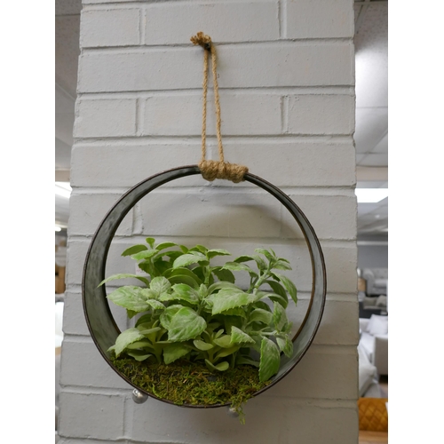 1361 - Faux green succulents in a round iron pot  - H 30cms (66554912)