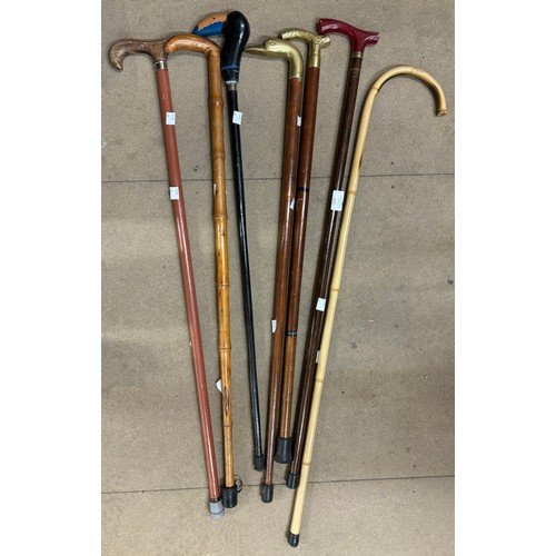 310 - Assorted walking sticks