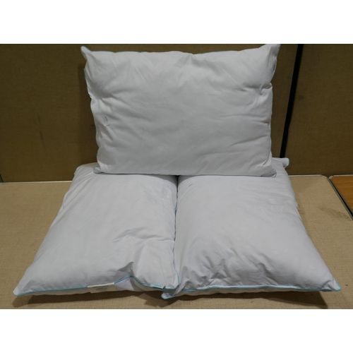 6290 - Three Synthetic Clusterdown Pillows    (332-445) *This lot is subject to vat