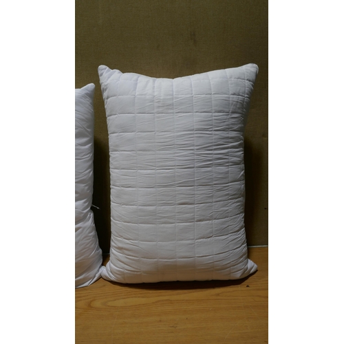 6170 - Two Hotel Grand Reversible Summer/Winter Pillows (332-135) *This lot is subject to vat