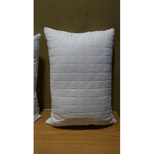 6170 - Two Hotel Grand Reversible Summer/Winter Pillows (332-135) *This lot is subject to vat