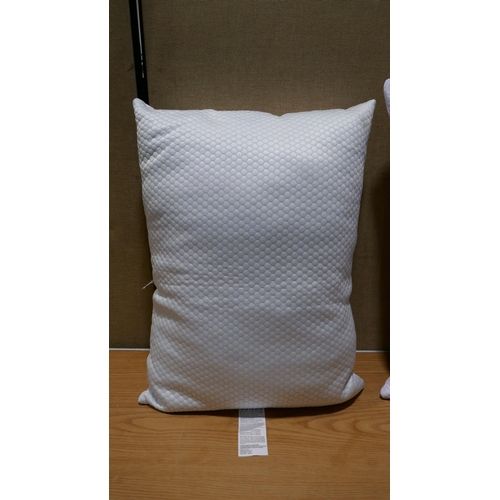 6170 - Two Hotel Grand Reversible Summer/Winter Pillows (332-135) *This lot is subject to vat