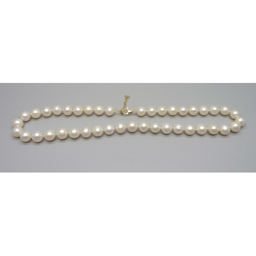 1038 - A cultured pearl necklace with an 18ct gold clasp, 59g, 44cm