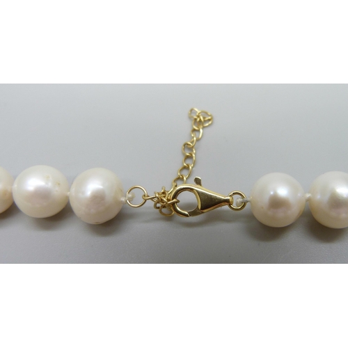 1038 - A cultured pearl necklace with an 18ct gold clasp, 59g, 44cm