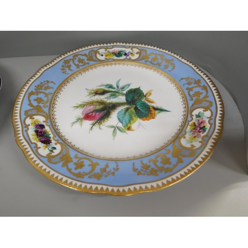 601 - A pair of hand painted cabinet plates and a French plate, French plate rim a/f, 22.5cm