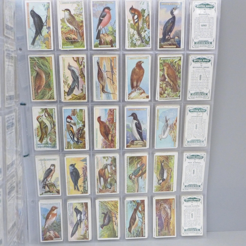 679 - Cigarette cards - eight sets of cigarette cards, including Wills Allied Army Leaders, Ogdens British... 