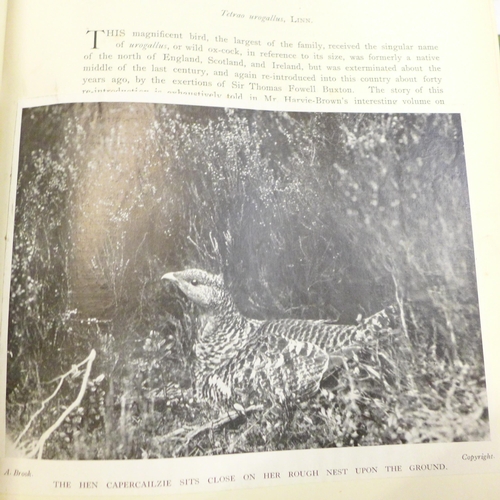 771 - Three volumes, British Birds with Their Nests and Eggs