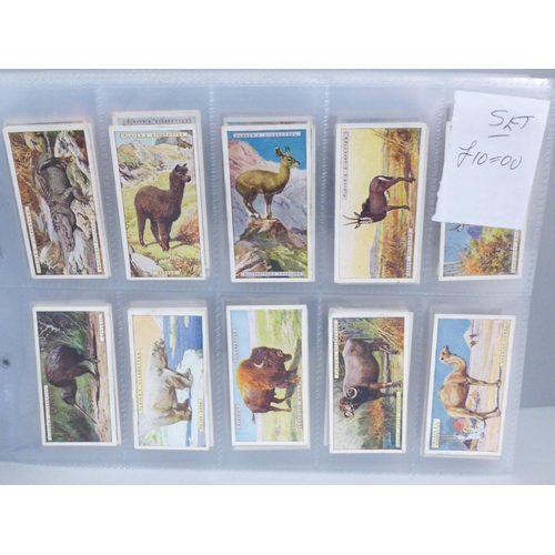 636 - Cigarette cards; eleven complete sets, mainly Players & Wills, including birds, butteflies, football... 