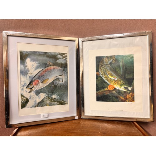 344 - A set of three prints depicting fish, framed