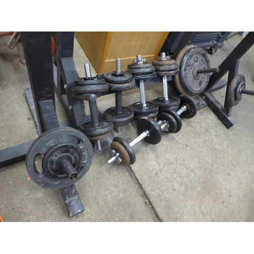 2202 - A large quantity of weight lifting equipment including 6 dumbbells, 2 plates, bar bell, etc.