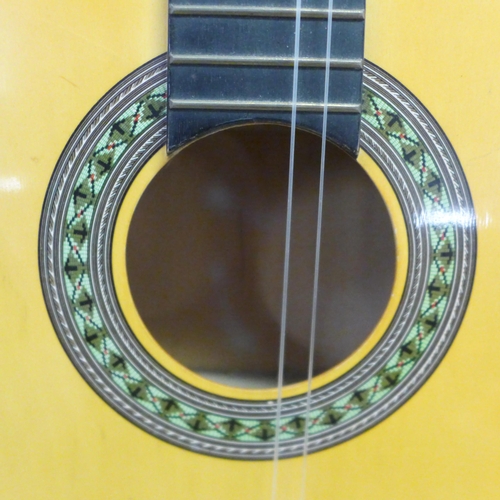 5078 - An acoustic guitar