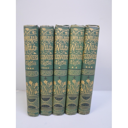 764 - Five 19th Century volumes, Familiar Wild Flowers, F E Hulme, published by Cassell, Petter, Galpin & ... 