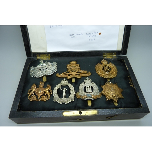 905 - A collection of seven military regiment cap badges