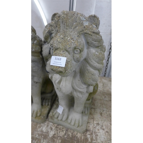 5163 - A pair of concrete stone effect lion garden ornaments