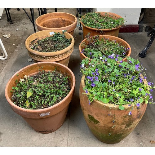 314 - Six assorted terracotta plant pots and a Victorian terracotta chimney pot, a/f