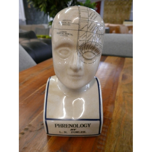 3009 - A porcelain L.N. Fowler, anatomy of the human brain phrenology head