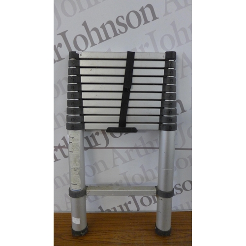 5251 - A set of telescopic ladders