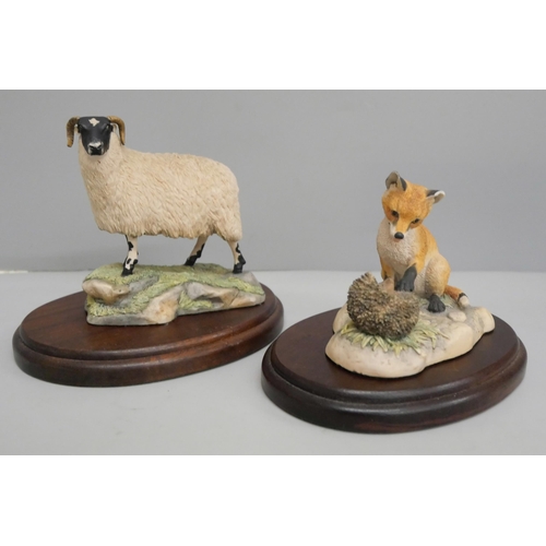 627 - Two Border Fine Arts figures, Black-faced Ewe and Fox Cub with Hedgehog, both on wooden bases, chip ... 