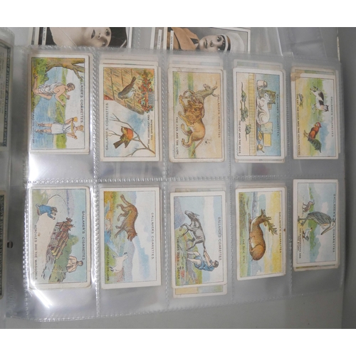 634 - Six sets of cigarette cards including Gallaher, Ogdens, Will's