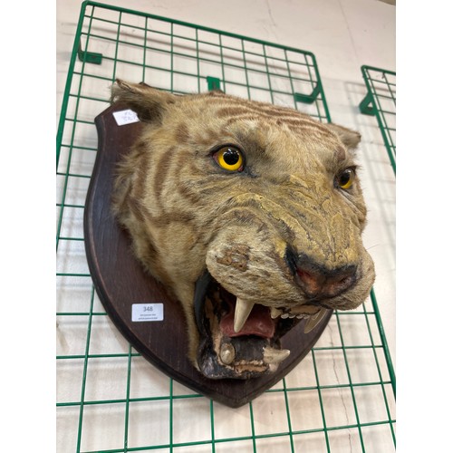 348 - An oak mounted faux tigers head