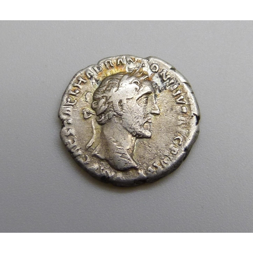 1029 - Silver Denarius Antoninus Pius (138-161 AD)