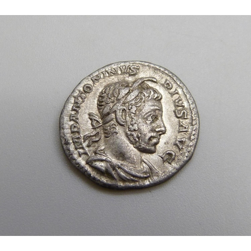 1032 - Roman Silver Denarius Elagabalus (AD 218 - 222) Laureate bust, Impantoninvs Pivs Avg, Elagabalus in ... 