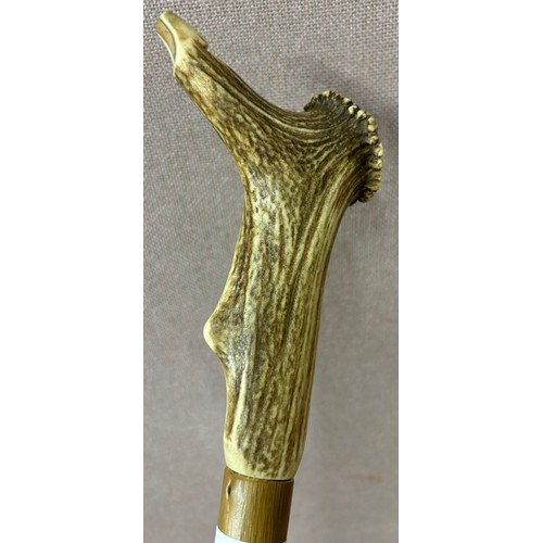 321 - A deer antler handled walking cane, handle converted to a whistle