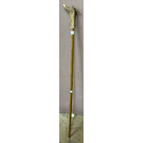 321 - A deer antler handled walking cane, handle converted to a whistle