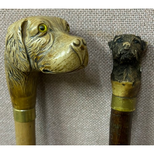 322 - Two carved walking sticks with dogs head handles