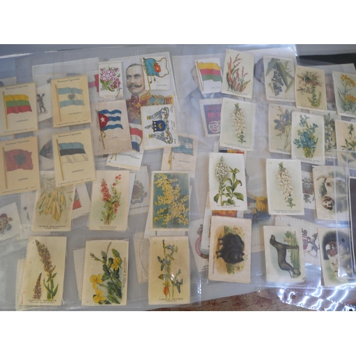 701 - A collection of silk cigarette cards including large