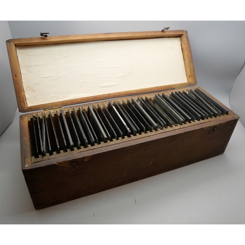 705 - A box of vintage projector slides