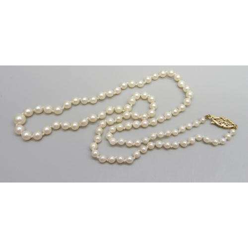 955 - A pearl necklace with 14K gold clasp, 14g, 51cm