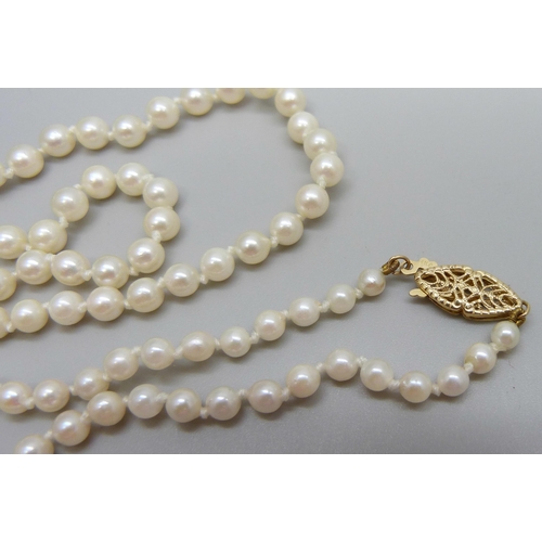 955 - A pearl necklace with 14K gold clasp, 14g, 51cm