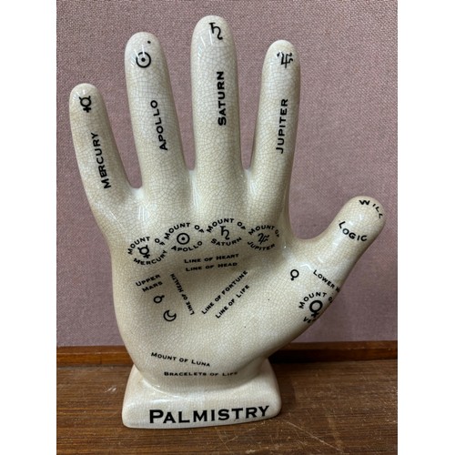 335 - A Palmistry palm reading model