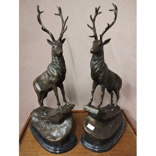 305 - A pair of French style bronze figures of stags, on black marble socles